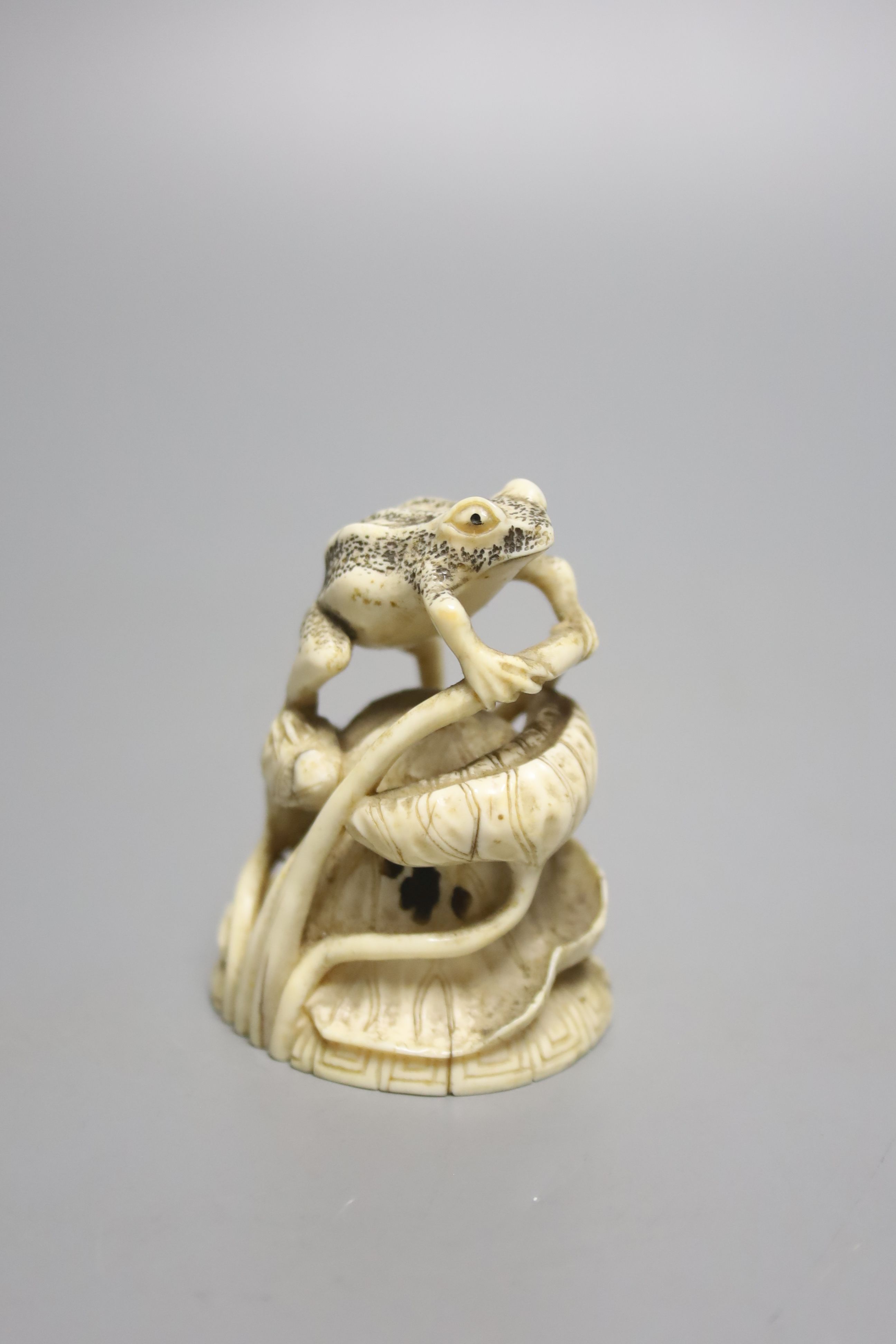 An early 20th century carved ivory 'frog' seal, height 6cm